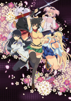 閃乱カグラ (섬란 카그라) 포스터