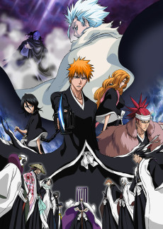 BLEACH The DiamondDust Rebellion もう一つの氷輪丸 (블리치 더 다이아몬드 더스트 레벨리온 또 하나의 빙륜환) 포스터