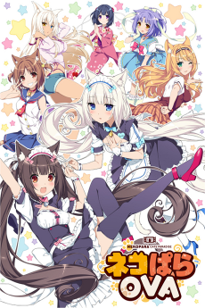 ネコぱらOVA (고양이 파라다이스 OVA) 포스터